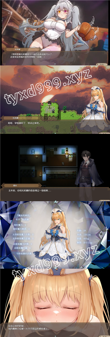 图片[3]-影色渐染~阿斯林顿的妹神官（2D，PC汉化版）-天玉二号店